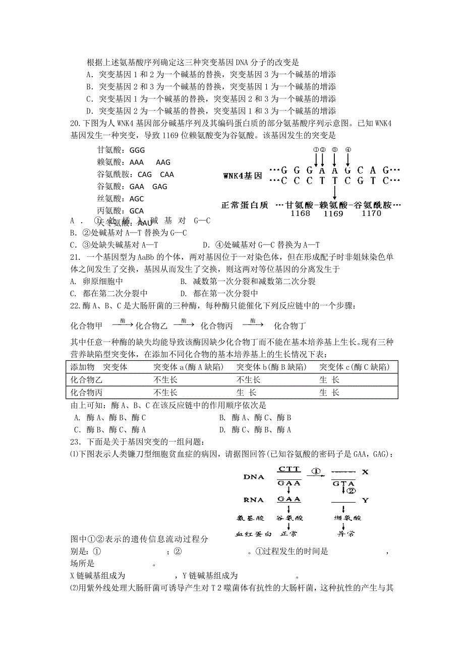 吉林省高中生物 第五章 基因突变及其他变异 第1节 基因突变和基因重组练习 新人教版必修2_第3页