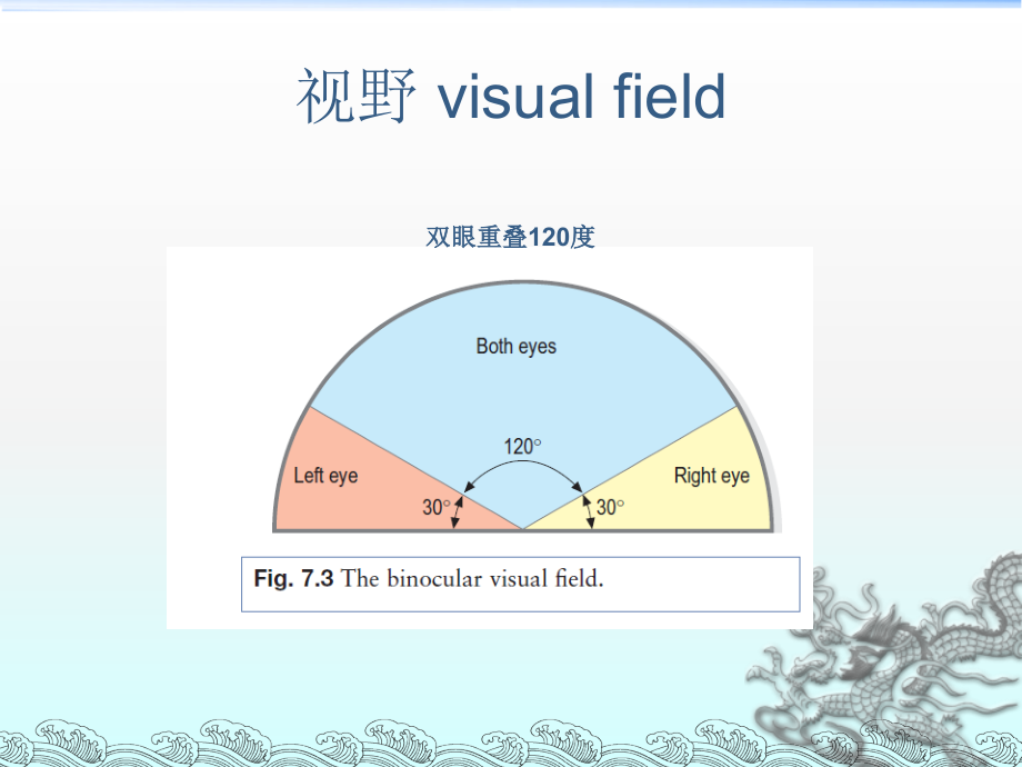 眼视野检查 Testing the visual field.ppt_第3页