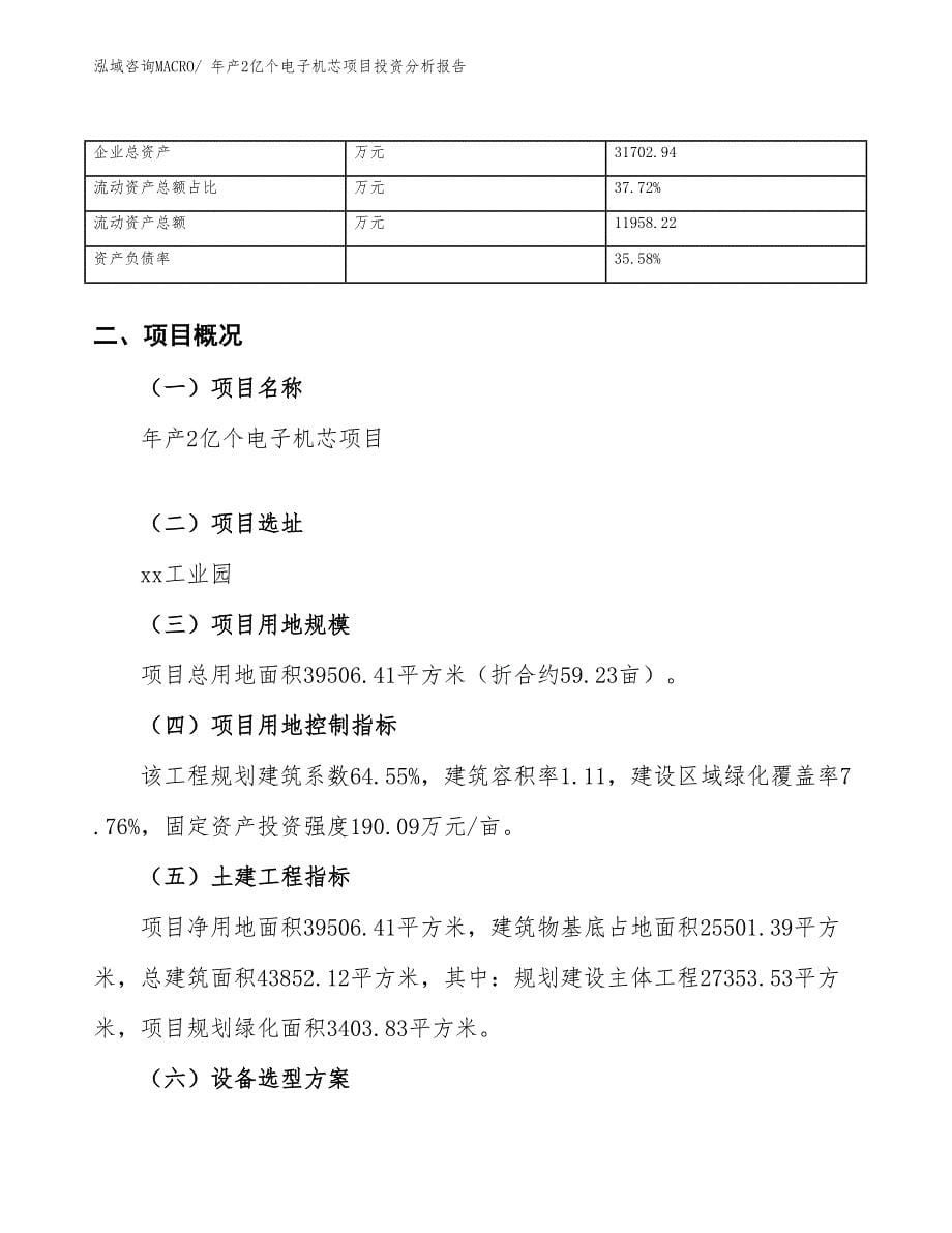 某某实业发展公司年产2亿个电子机芯项目投资分析报告_第5页