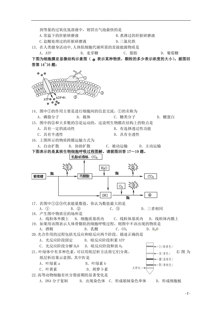 河北省2014-2015学年高一生物下学期期中试题 文_第2页