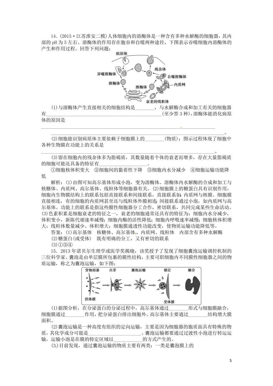 2016届高考生物一轮复习 第二单元 细胞的结构和物质运输单元过关检测（二）_第5页