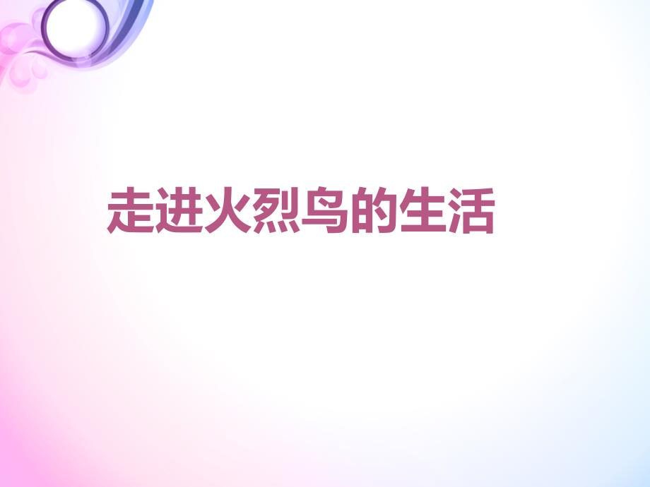 画画火烈鸟.ppt_第4页