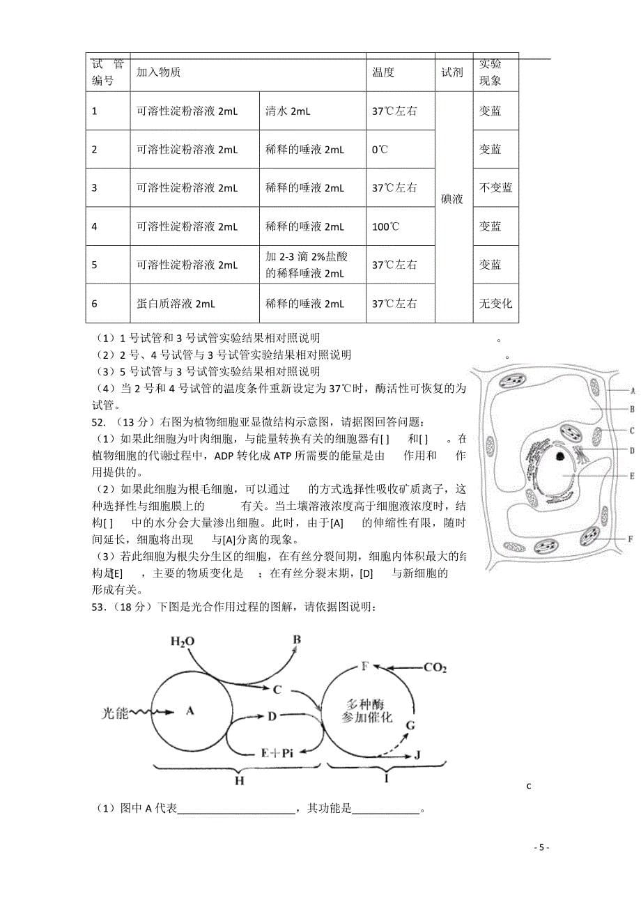 山东省私立青岛育贤中学2014-2015学年高一生物上学期第二学段评估测试试题_第5页