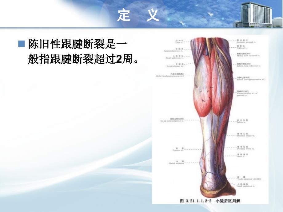 陈旧性跟腱断裂 程强.ppt_第4页