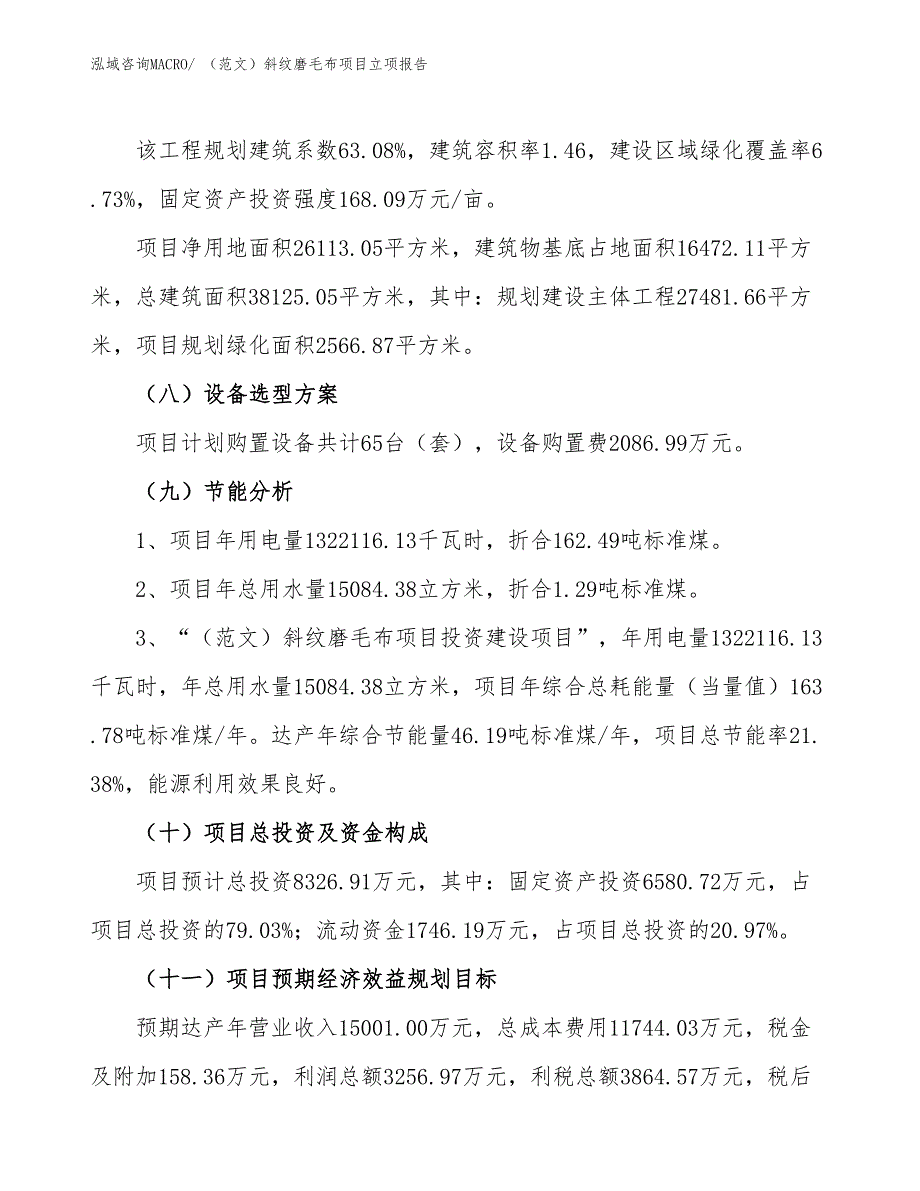 （范文）斜纹磨毛布项目立项报告_第3页