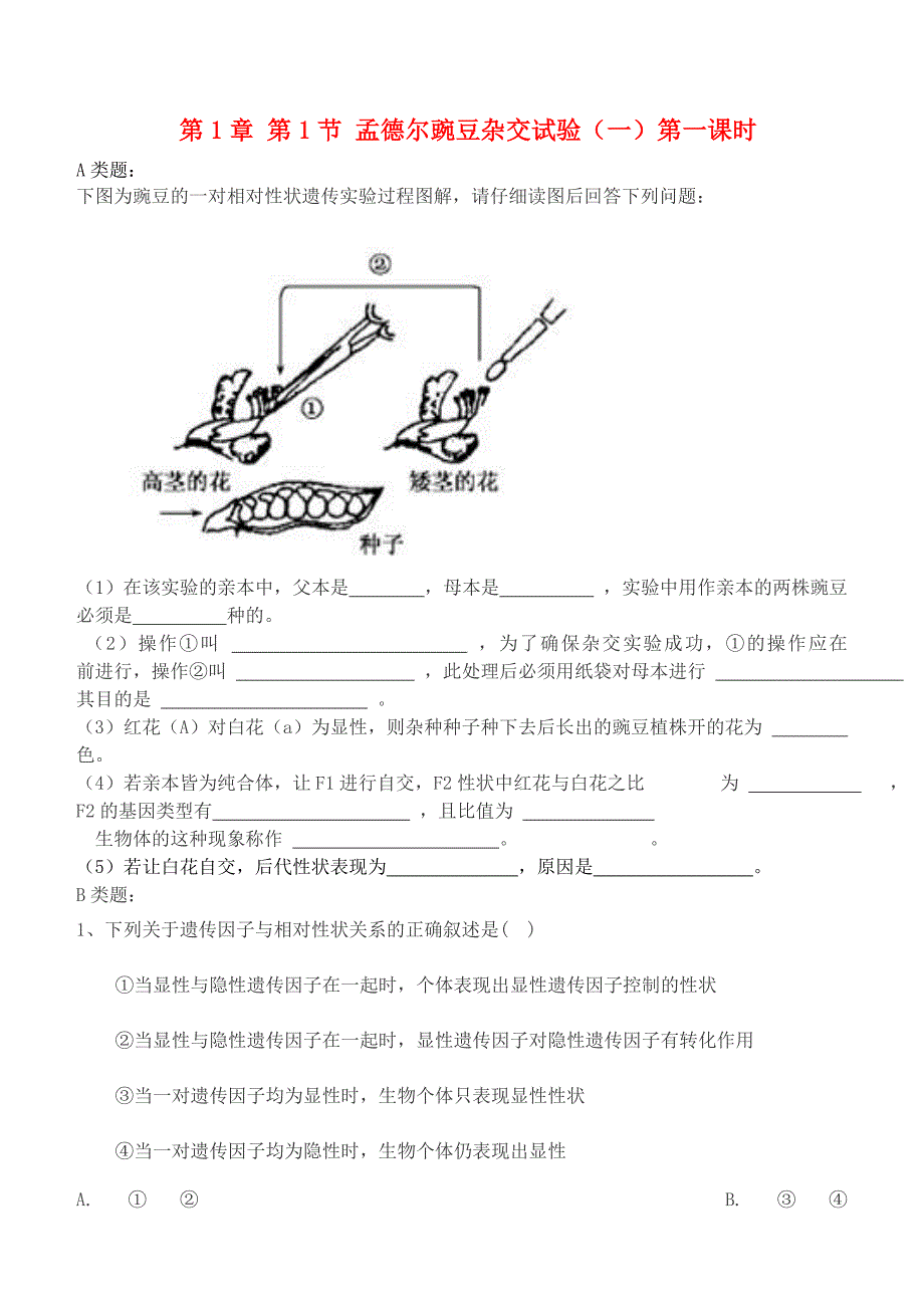 内蒙古（东校区）2014-2015学年高中生物 1.1.1孟德尔豌豆杂交试验（一）第一课时训练案新人教版必修2_第1页