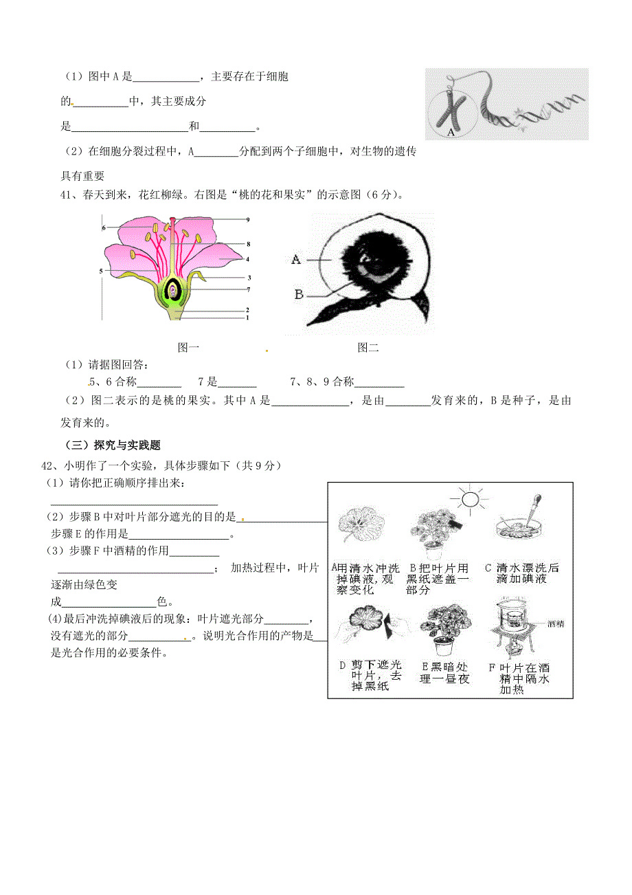 甘肃省金昌市金川集团公司龙门学校2013-2014学年七年级生物上学期期末考试试题_第4页