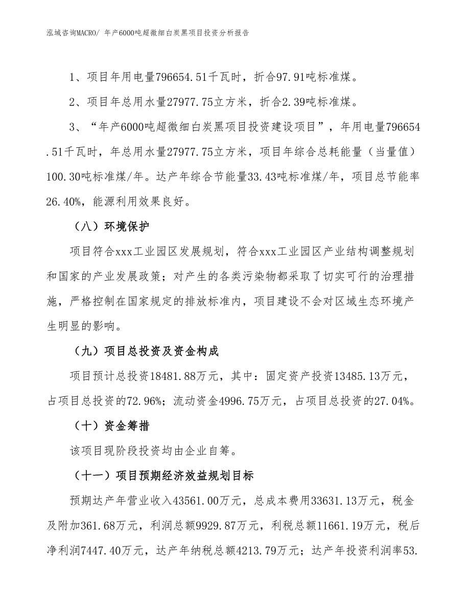 xx实业发展公司年产6000吨超微细白炭黑项目投资分析报告_第5页