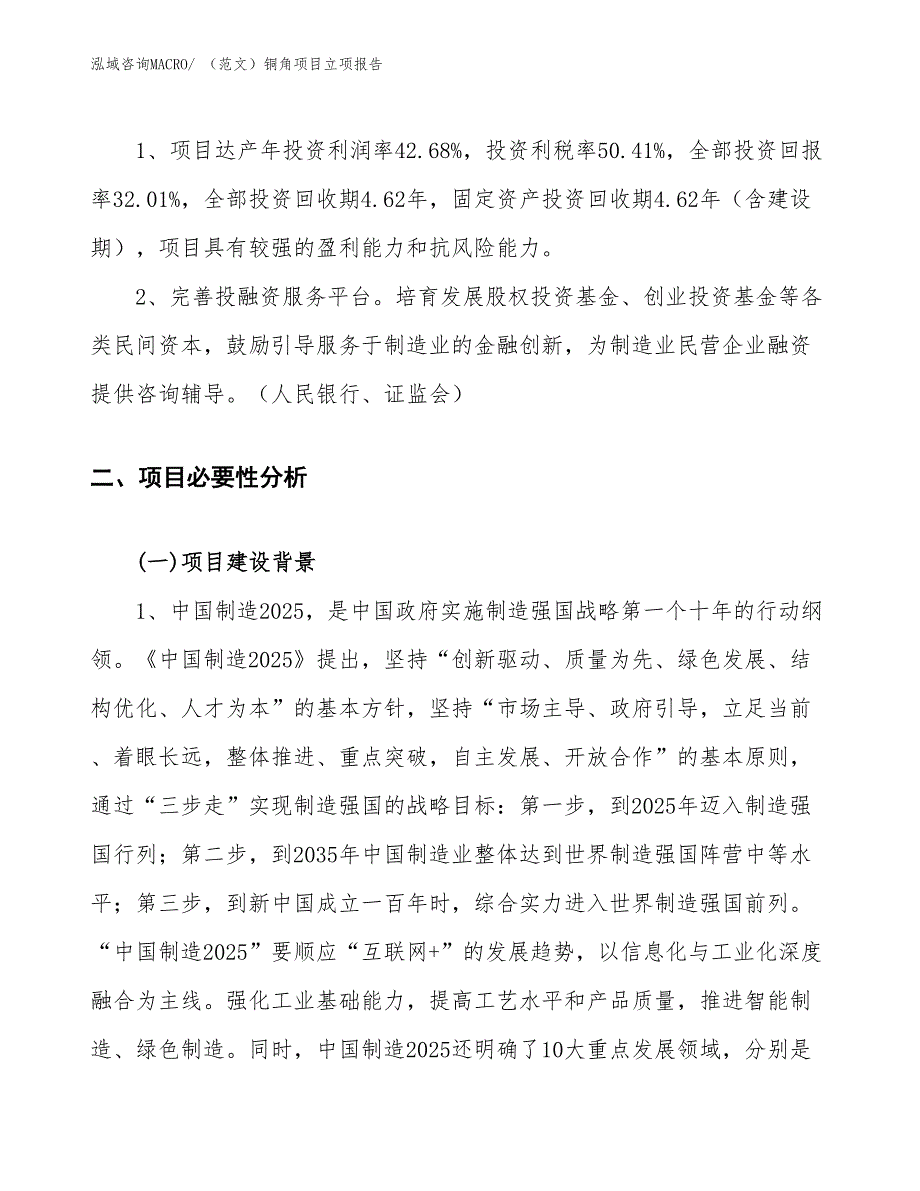 （范文）铜角项目立项报告_第4页