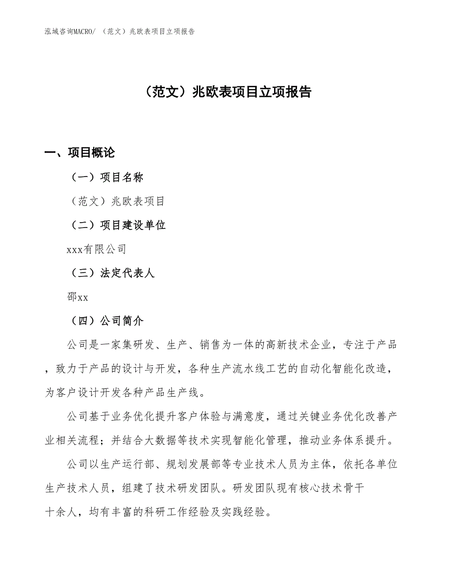 （范文）兆欧表项目立项报告_第1页