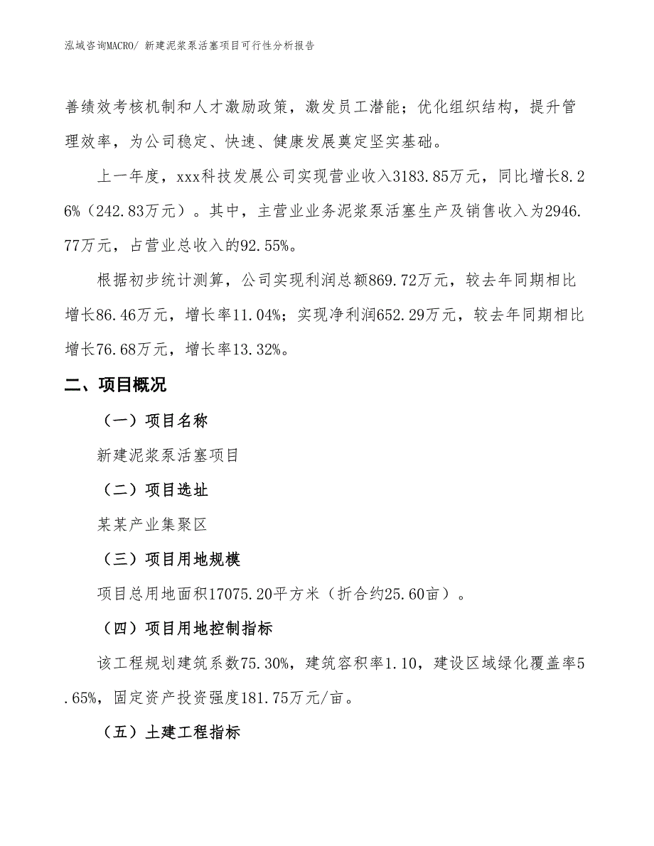 新建泥浆泵活塞项目可行性分析报告_第2页