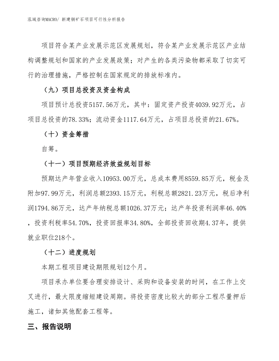 新建铜矿石项目可行性分析报告_第4页