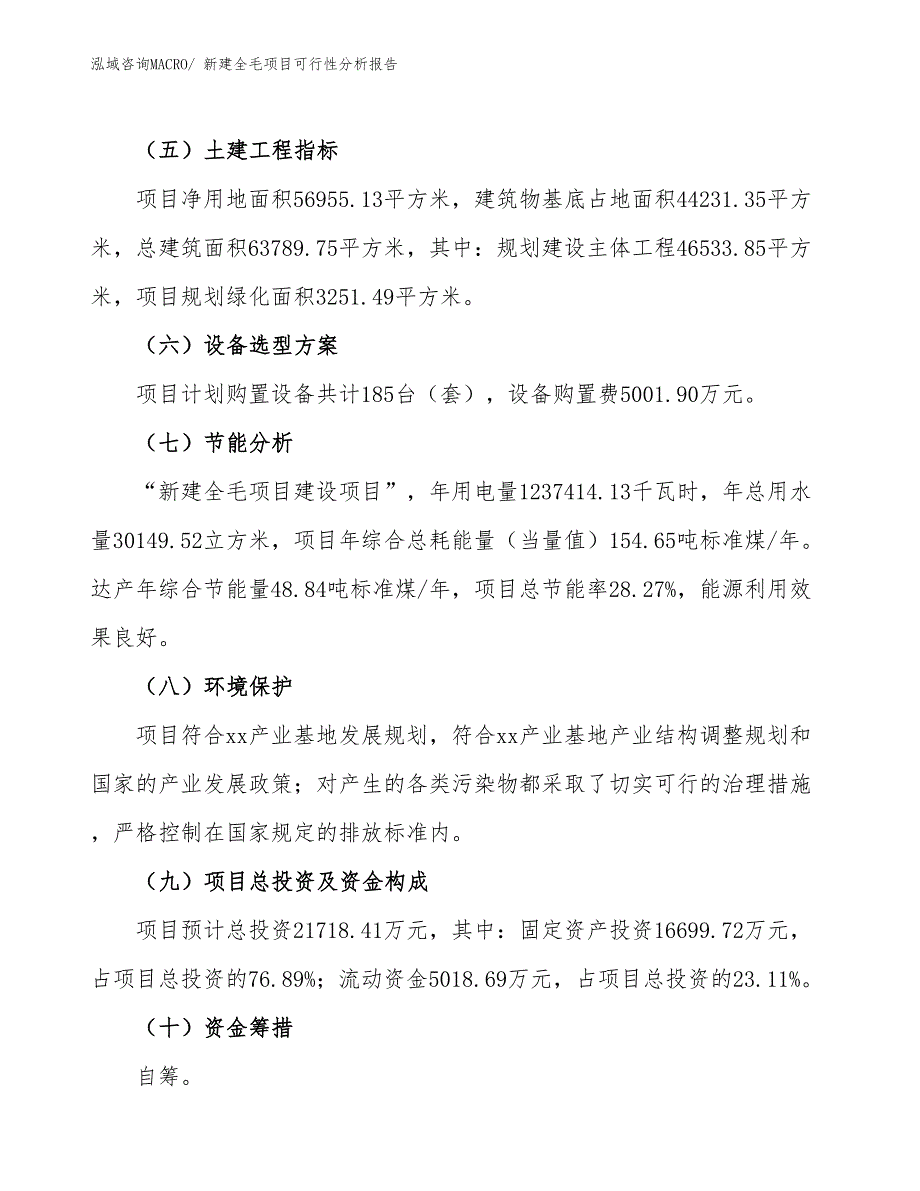 新建全毛项目可行性分析报告_第3页