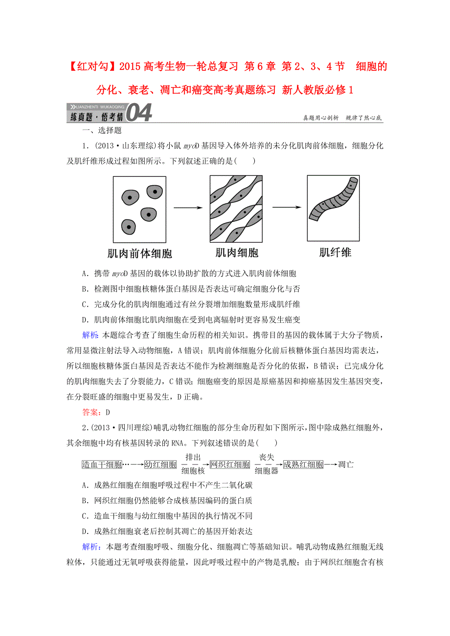 2015高考生物一轮总复习 第6章 第2、3、4节　细胞的分化、衰老、凋亡和癌变高考真题练习 新人教版必修1_第1页