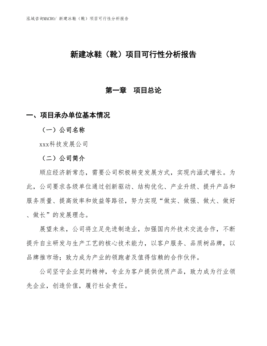 新建冰鞋（靴）项目可行性分析报告_第1页