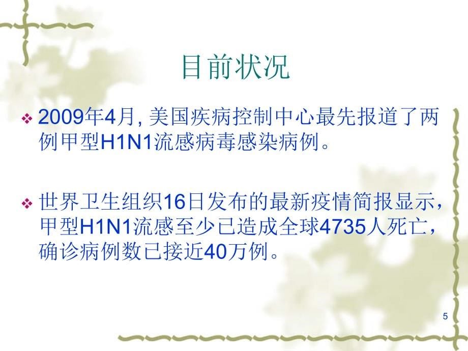 课件：重症甲型h1n1流感的早期筛查、救治和护理_第5页