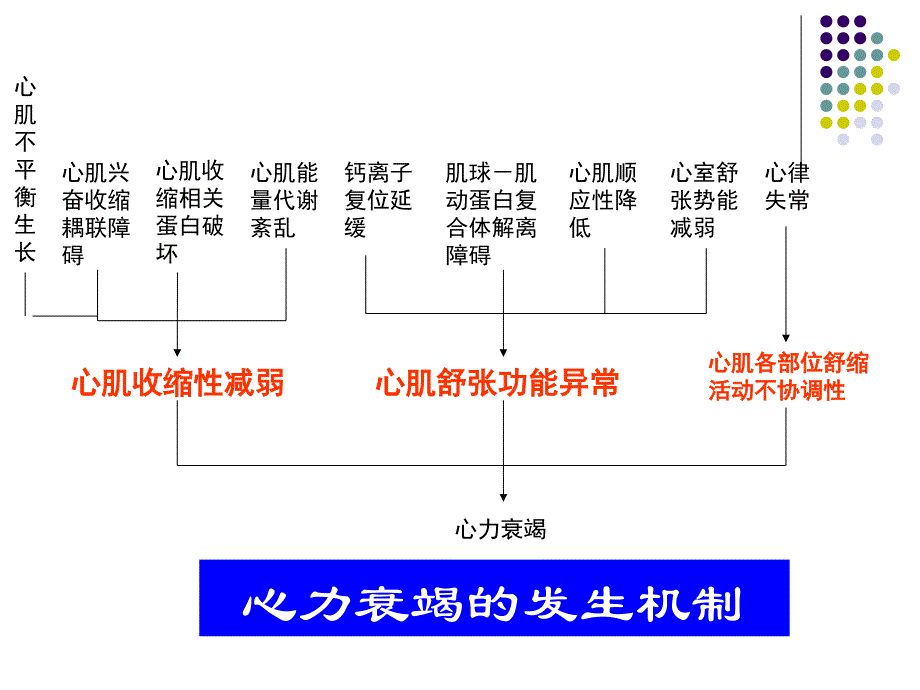 课件：细胞死亡与心衰及中医药干预_第2页