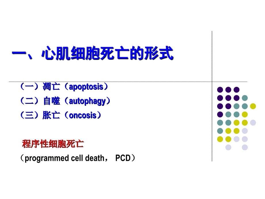 课件：细胞死亡与心衰及中医药干预_第5页