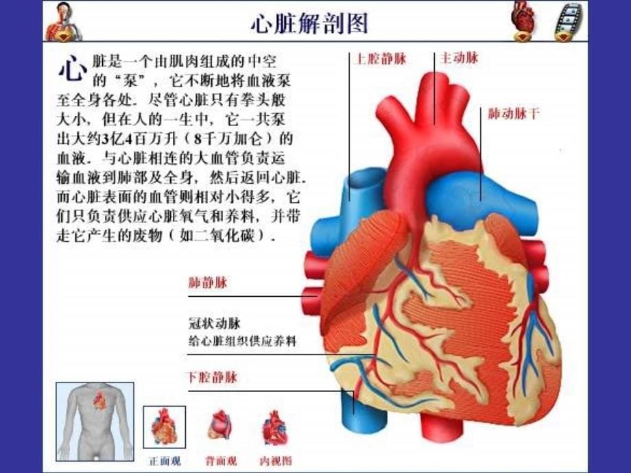 课件：先天性心脏病的治疗及新进展_第5页