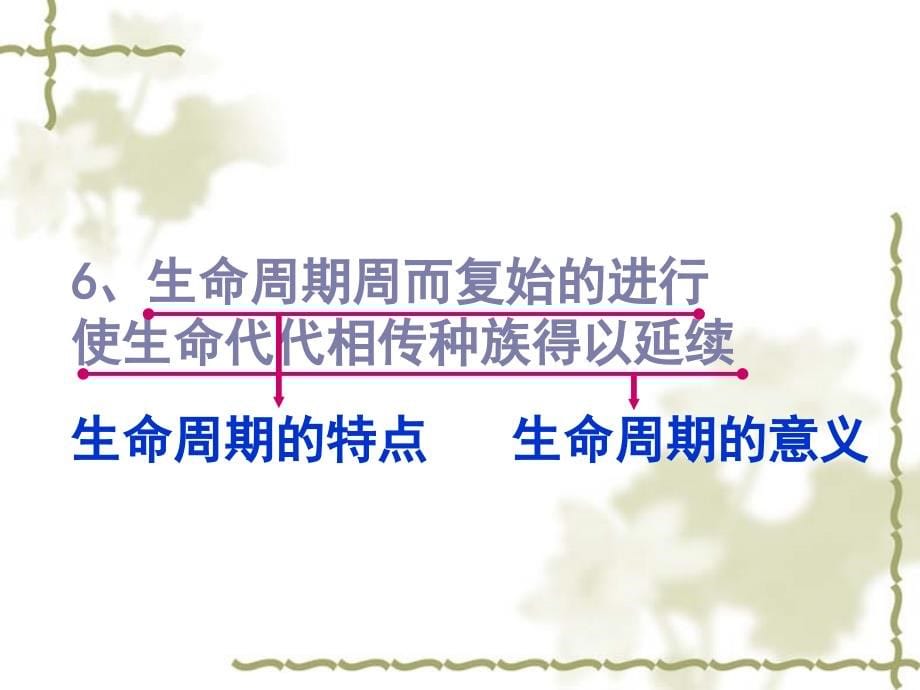 浙教版七年级下册科学第一章代代相传的生命(133张)_第5页