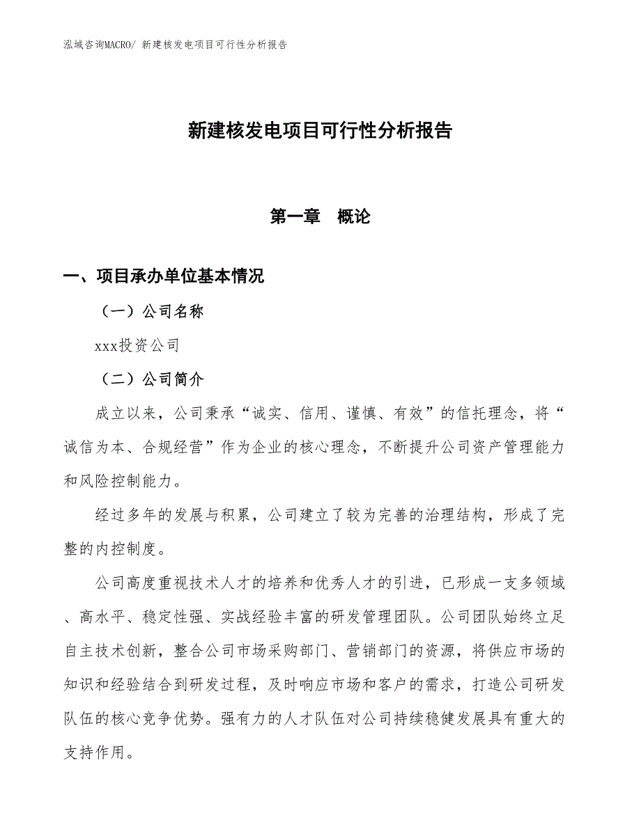 新建核发电项目可行性分析报告_第1页