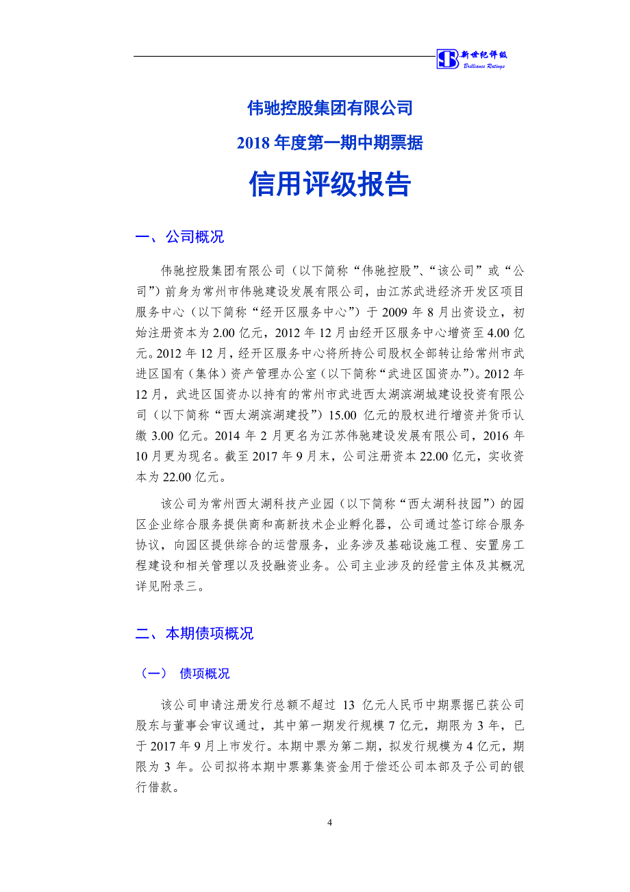 伟驰控股集团有限公司18年度第一期中期票据信用评级报告_第4页