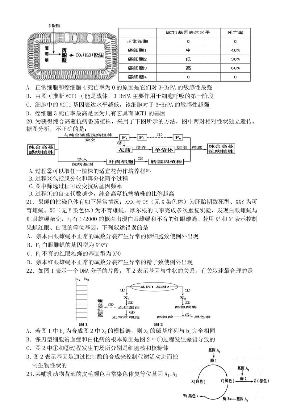 黑龙江省2014-2015学年度高三生物上学期期末考试试题_第5页