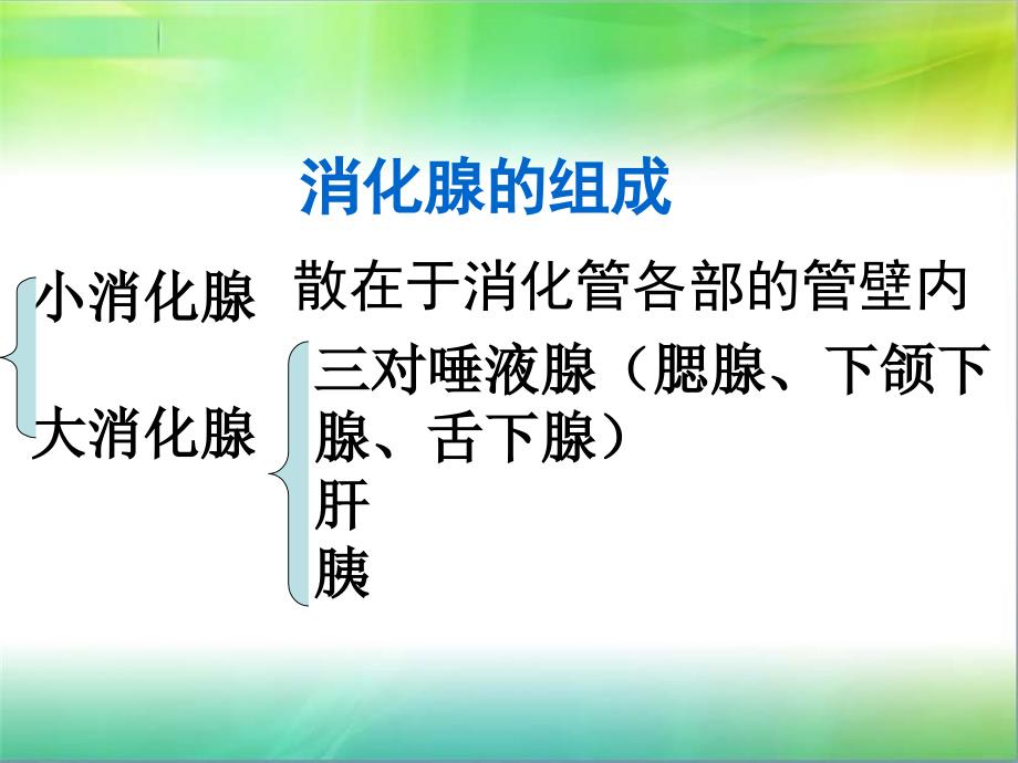 课件：消化系统疾病专题讲座_第3页