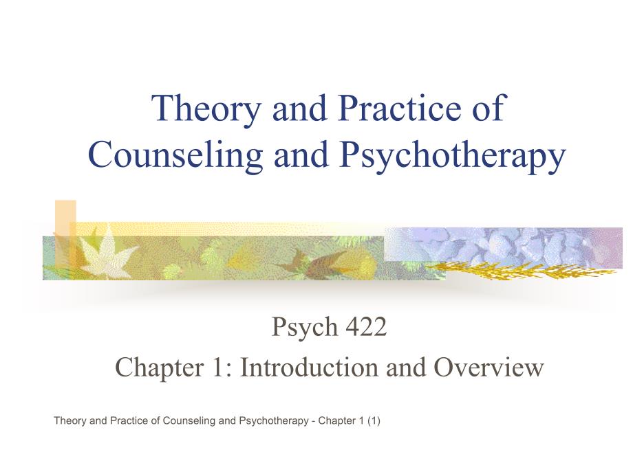 课件：心理咨询与治疗的理论及实践chapter1 introduction and overview_第1页