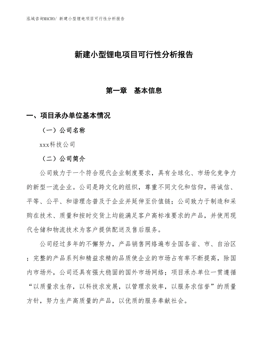 新建小型锂电项目可行性分析报告_第1页