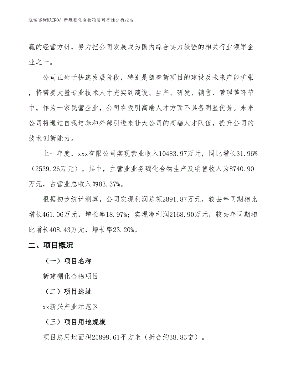 新建硼化合物项目可行性分析报告_第2页