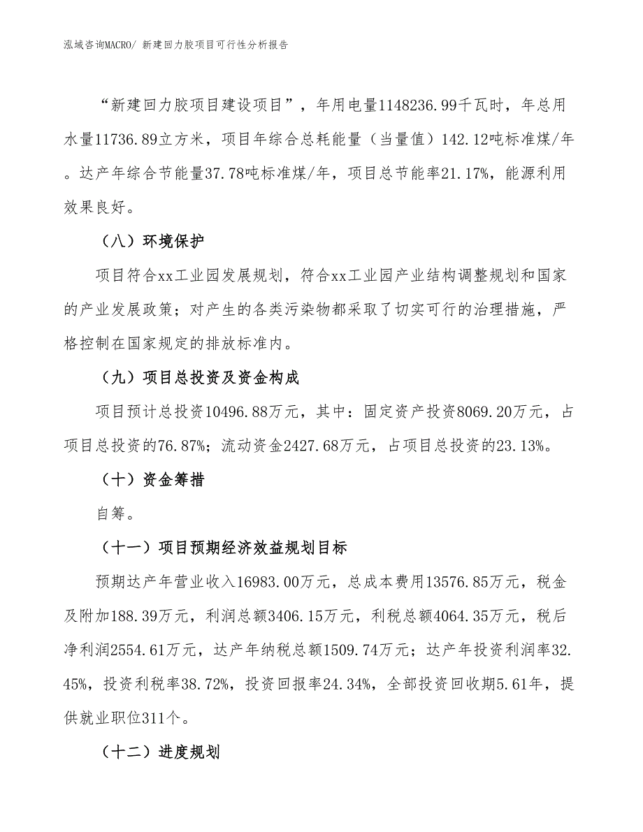 新建回力胶项目可行性分析报告_第3页