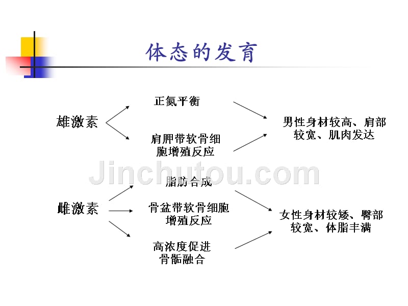 课件：性早熟的诊断和治疗_第4页