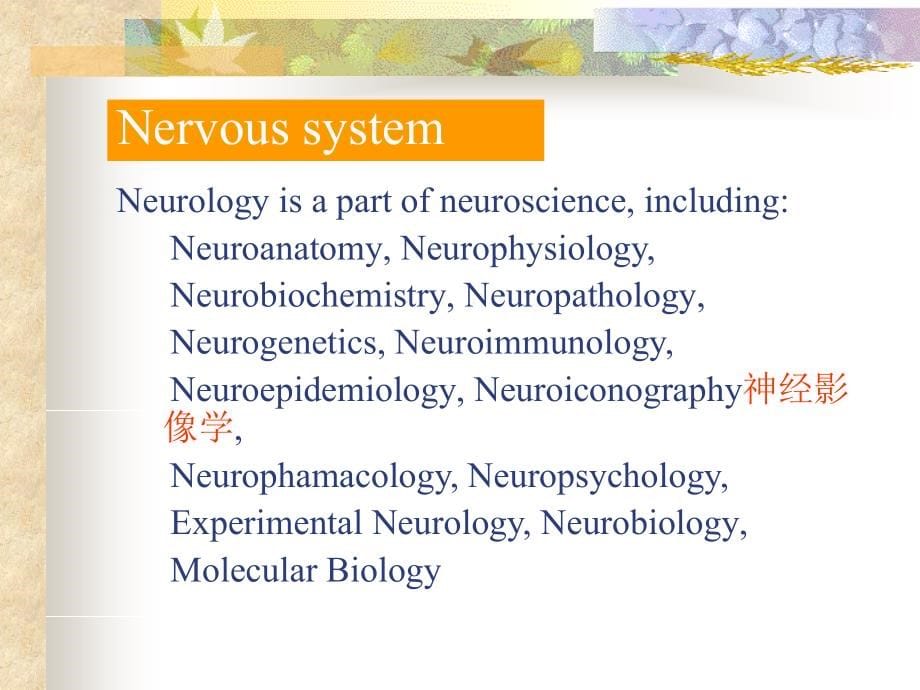 课件：神经病学（英文）1.symptomatology of neurological disea_第5页