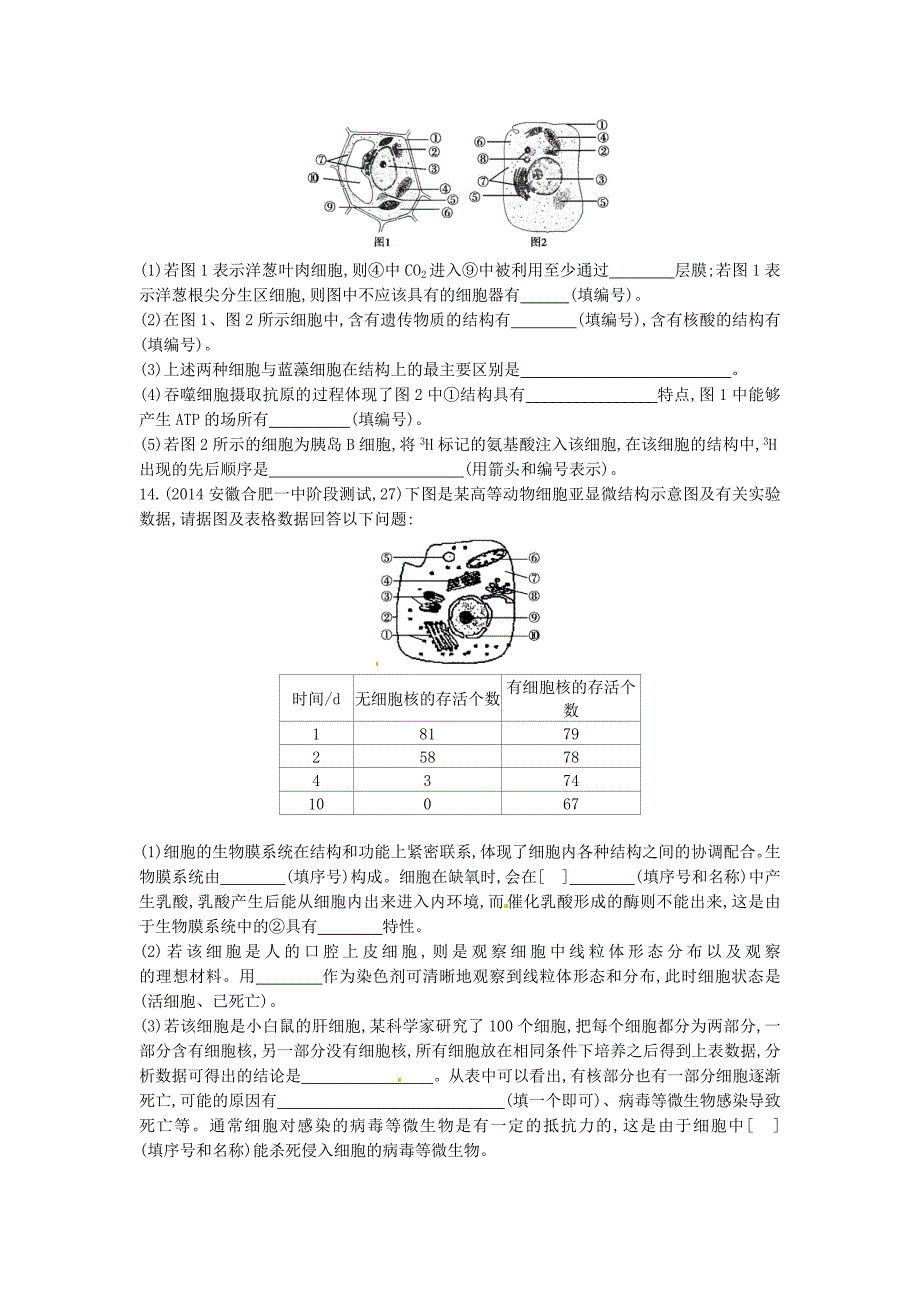 2015版高考生物总复习 第二单元 第3课时 细胞质练习_第3页