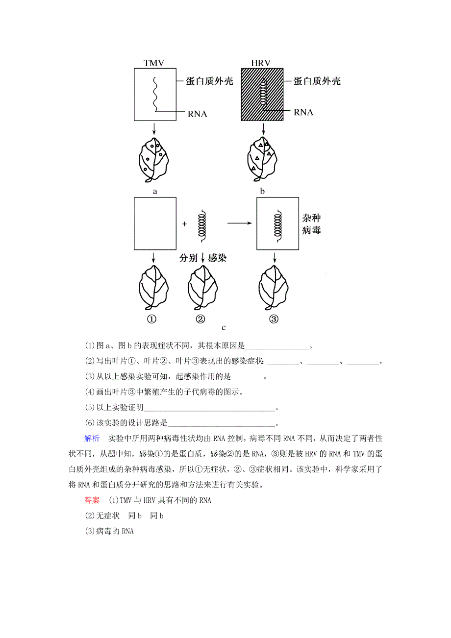 2014-2015学年高中生物 3.1 dna是主要的遗传物质随堂巩固训练 新人教版必修2_第2页