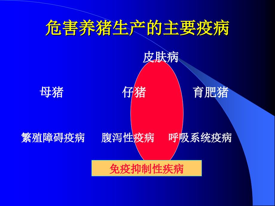 课件：夏季常见猪病防控对策_第3页