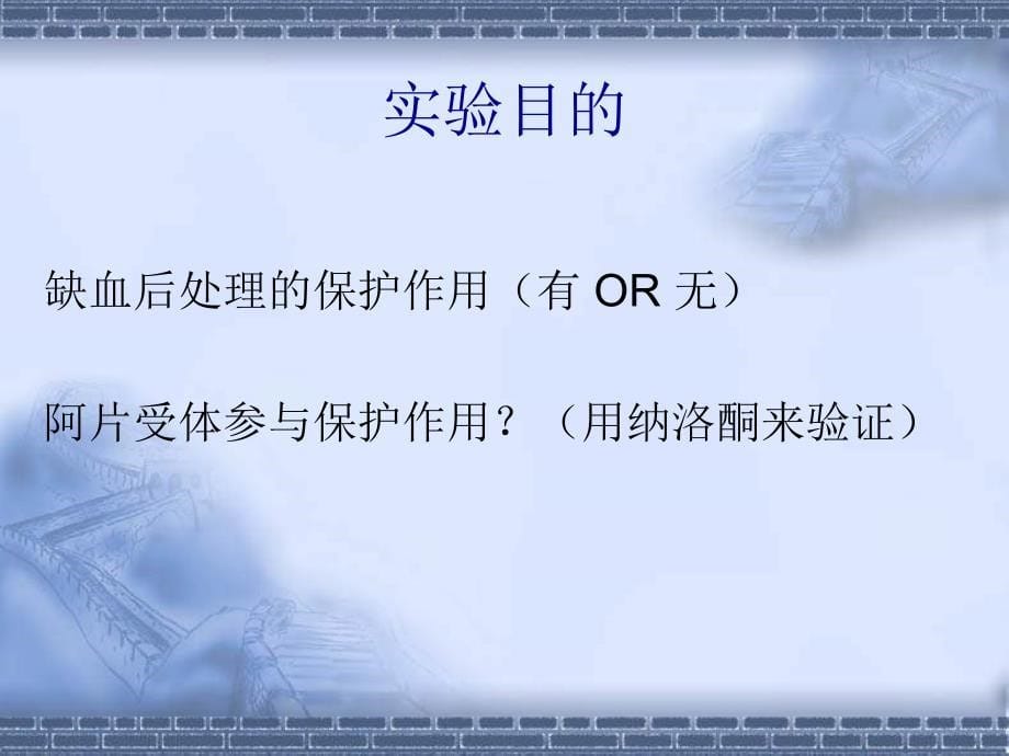 课件：纳洛酮影响大鼠心脏缺血后处理的保护作用- 阿片受体参与大鼠心缺血后_第5页