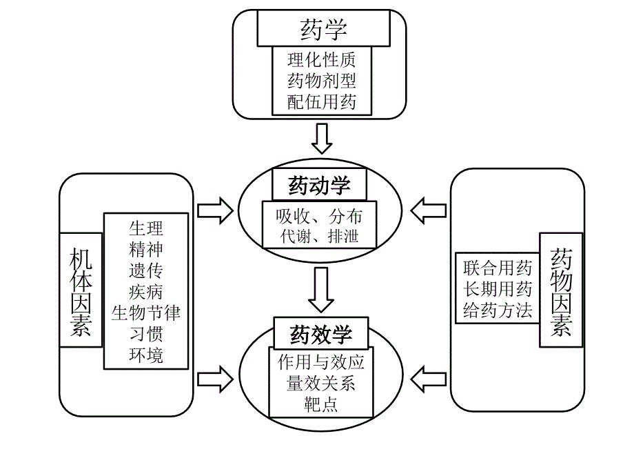 课件：药理学精品教学（汕头大学）影响药物作用的因素_第2页