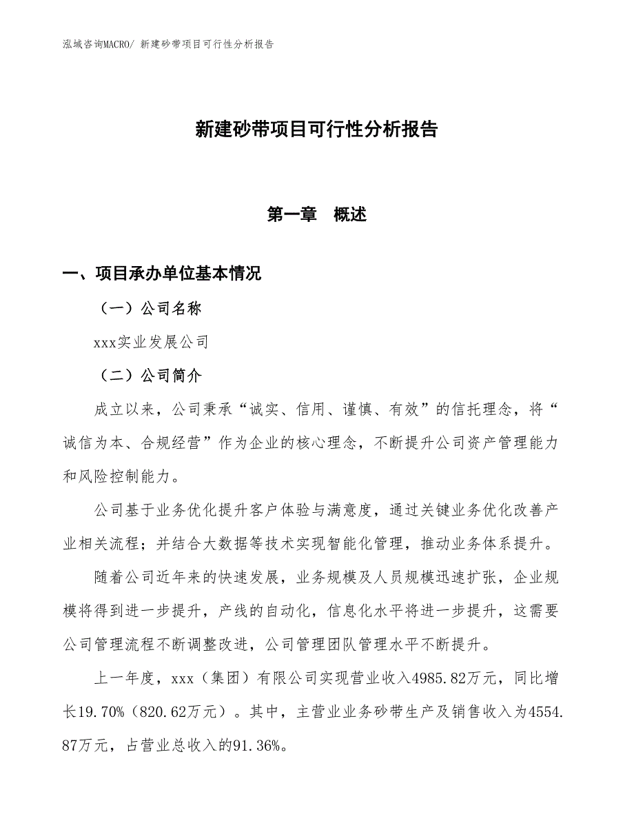 新建砂带项目可行性分析报告_第1页