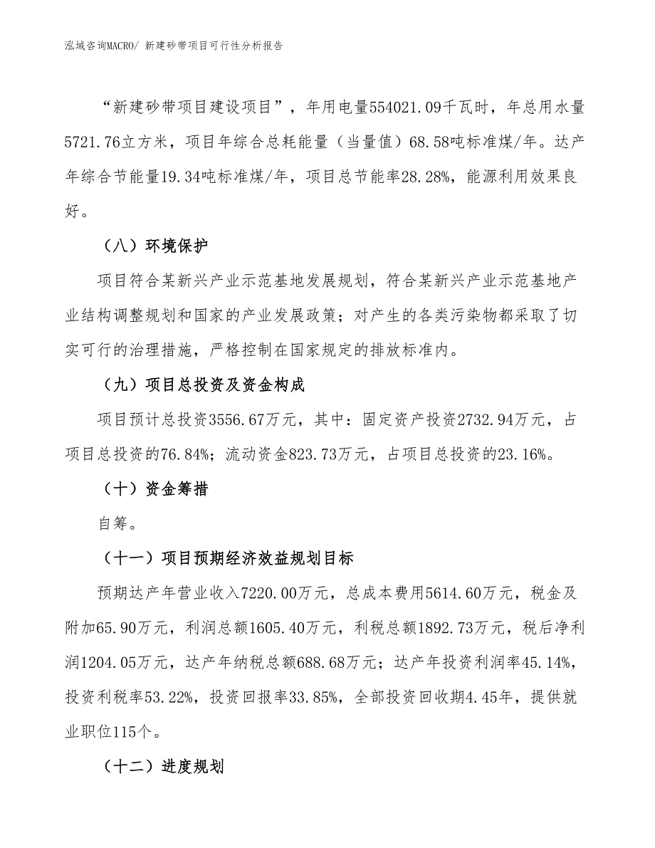 新建砂带项目可行性分析报告_第3页