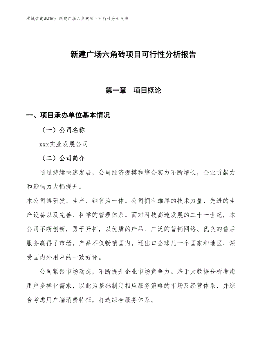 新建广场六角砖项目可行性分析报告_第1页