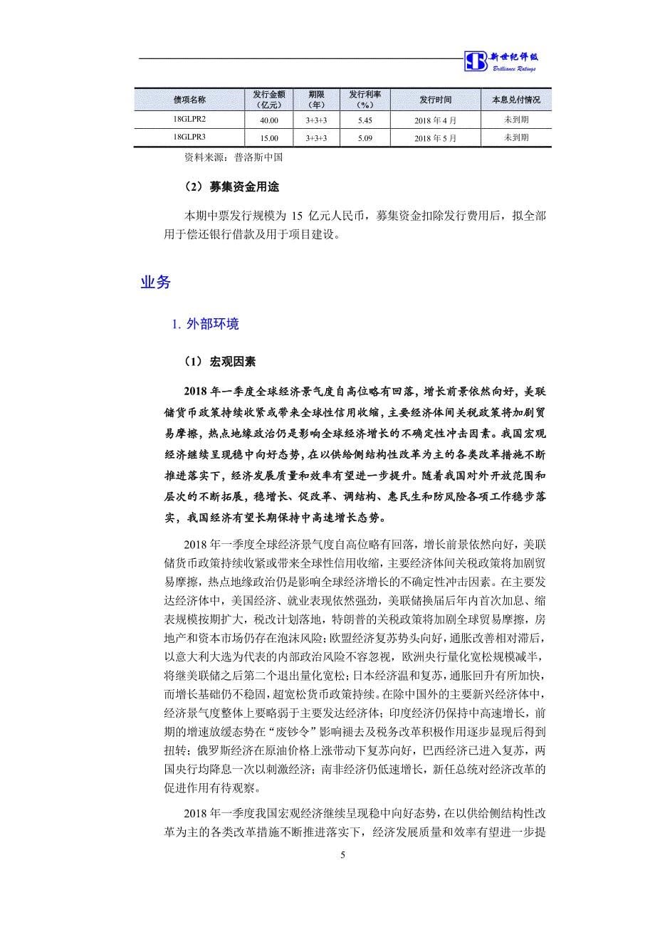 普洛斯中国控股有限公司18年度第三期中期票据信用评级报告及跟踪评级安排-新世纪_第5页