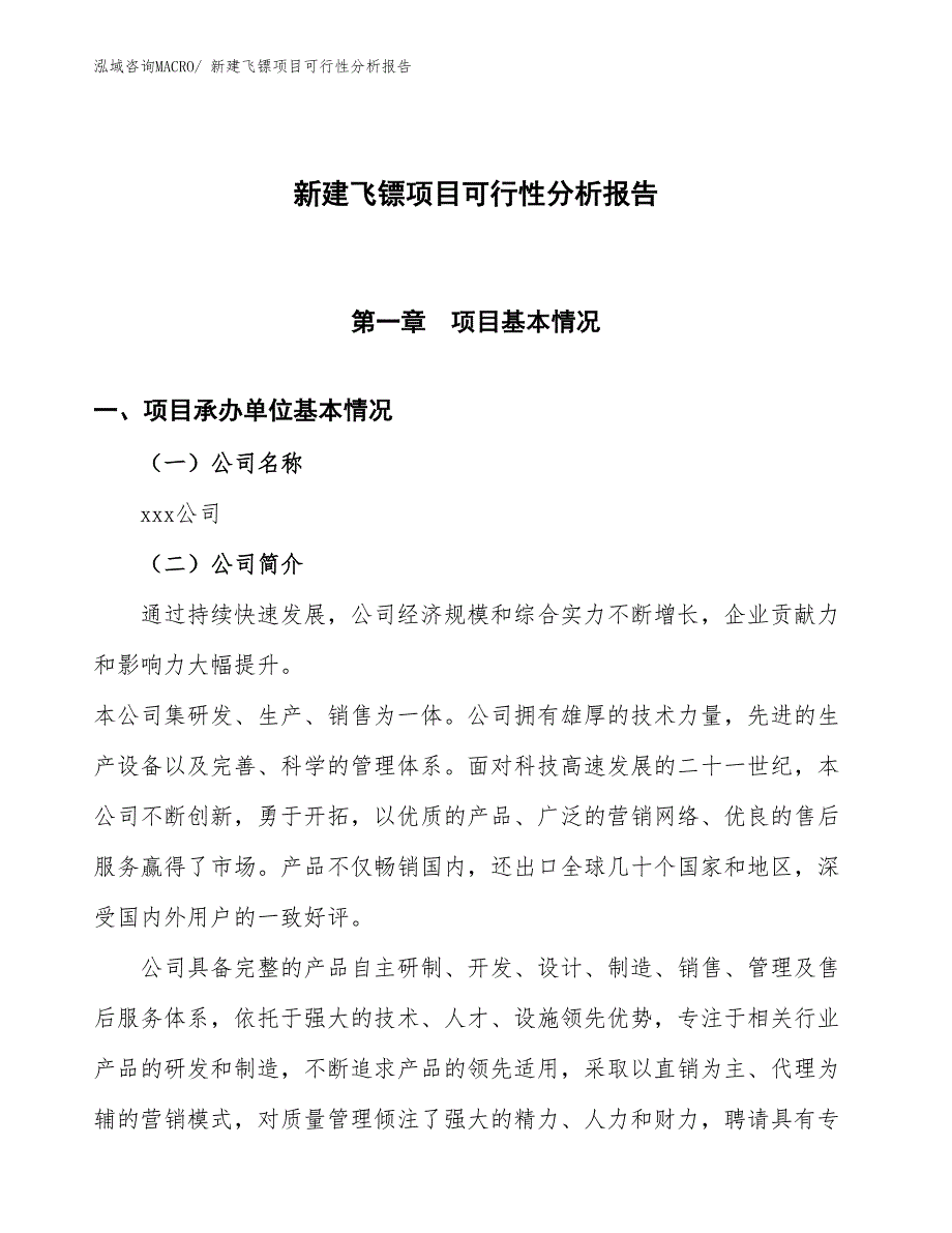 新建飞镖项目可行性分析报告_第1页