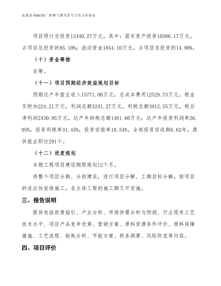 新建飞镖项目可行性分析报告_第4页