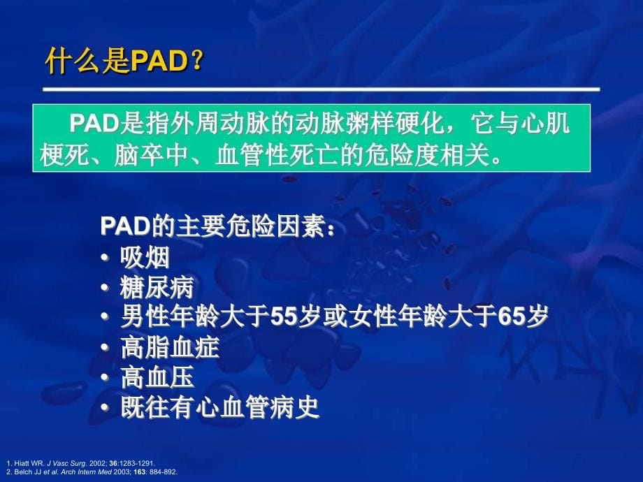 课件：外周动脉疾病及其诊断方法_第5页