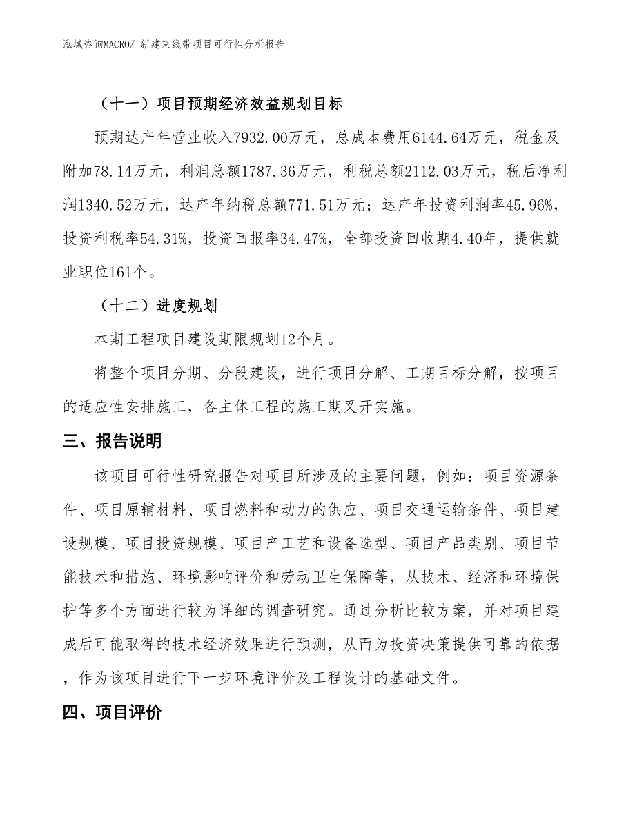 新建束线带项目可行性分析报告_第4页