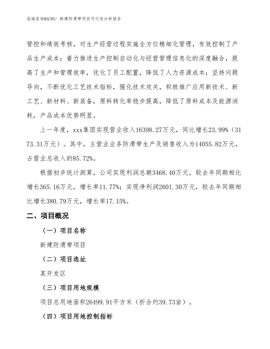 新建防滑带项目可行性分析报告_第2页