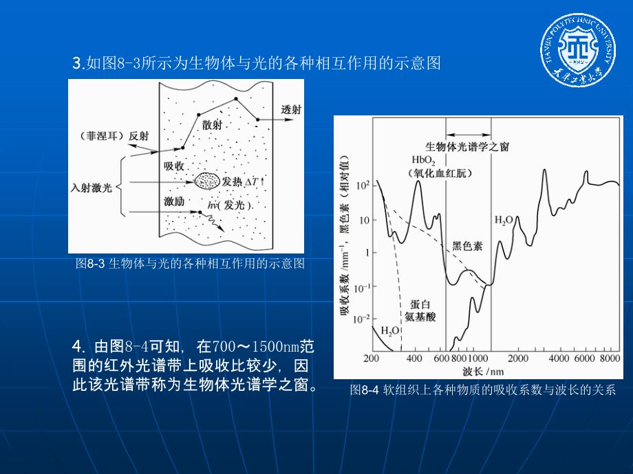 课件：新激光第十二章 激光在医学中的应用_第4页