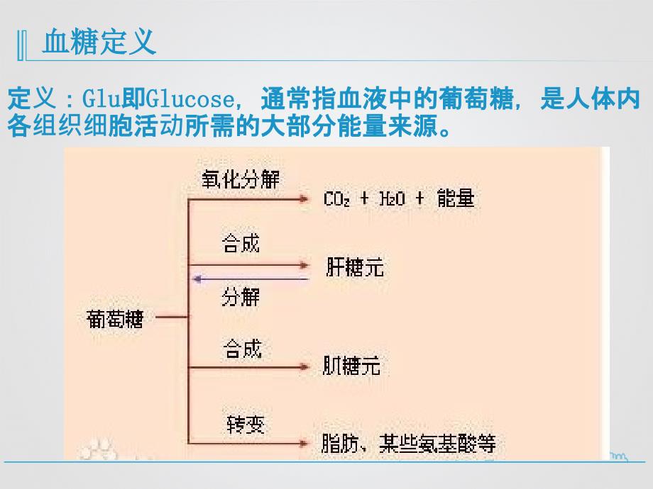 课件：危重患者的血糖管理_第3页